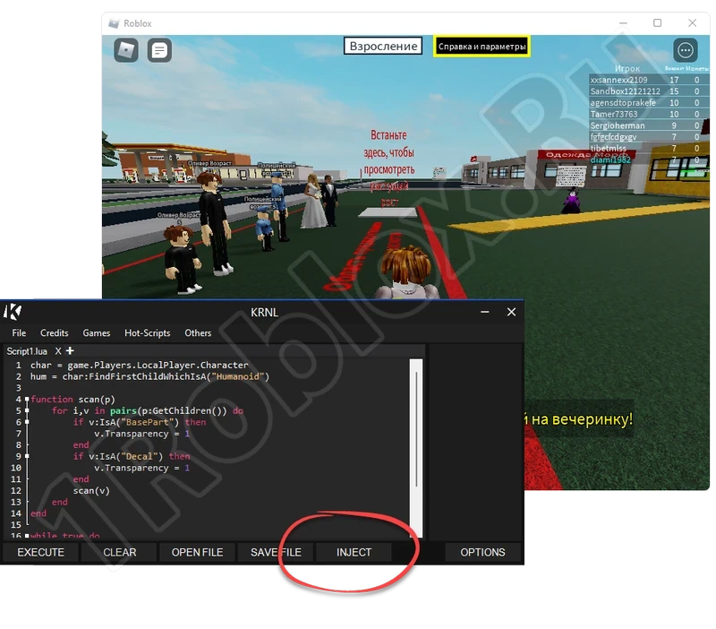 Using KRNL Roblox