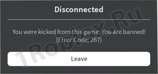 Ban on Roblox server