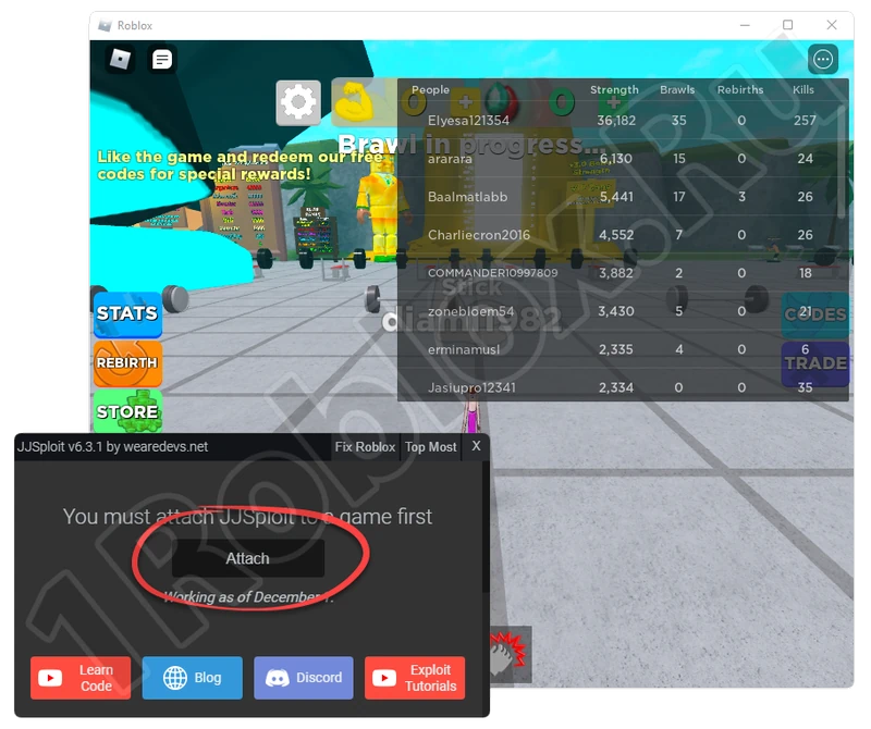 Starting to use Fly Hack for Roblox