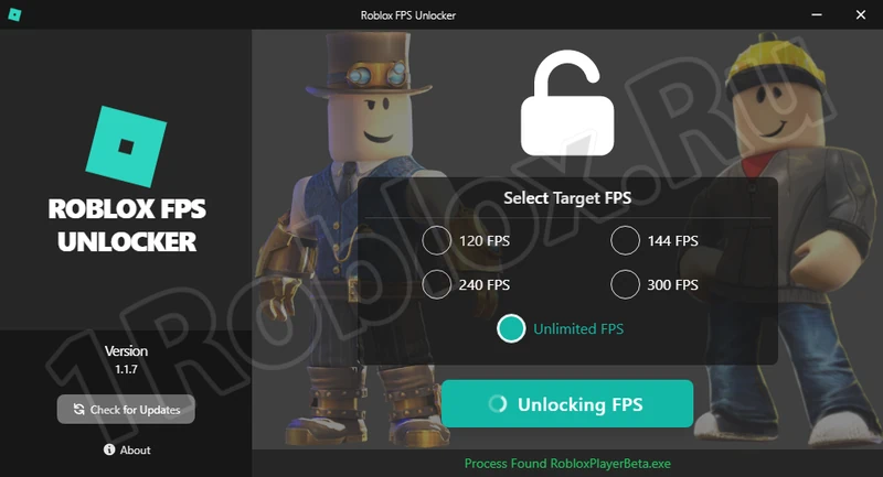 Roblox FPS Unlocker in Action