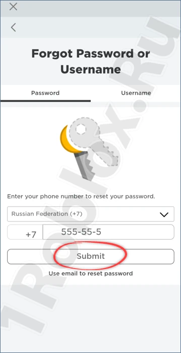 Entering phone number for Roblox password recovery