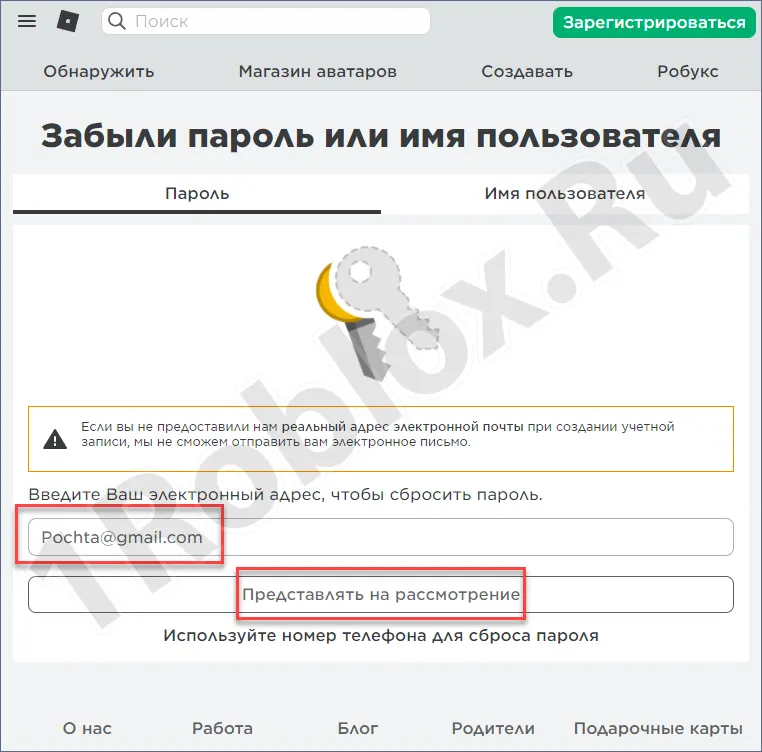 Entering email for Roblox password recovery