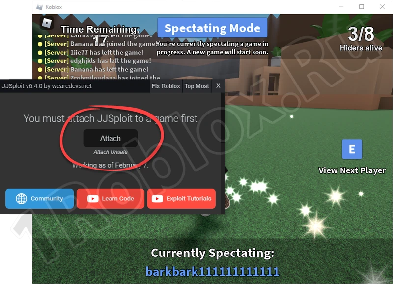 Connecting Cheat Injector to Roblox