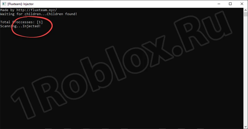 Successful Connection of Cheat Injector to Roblox